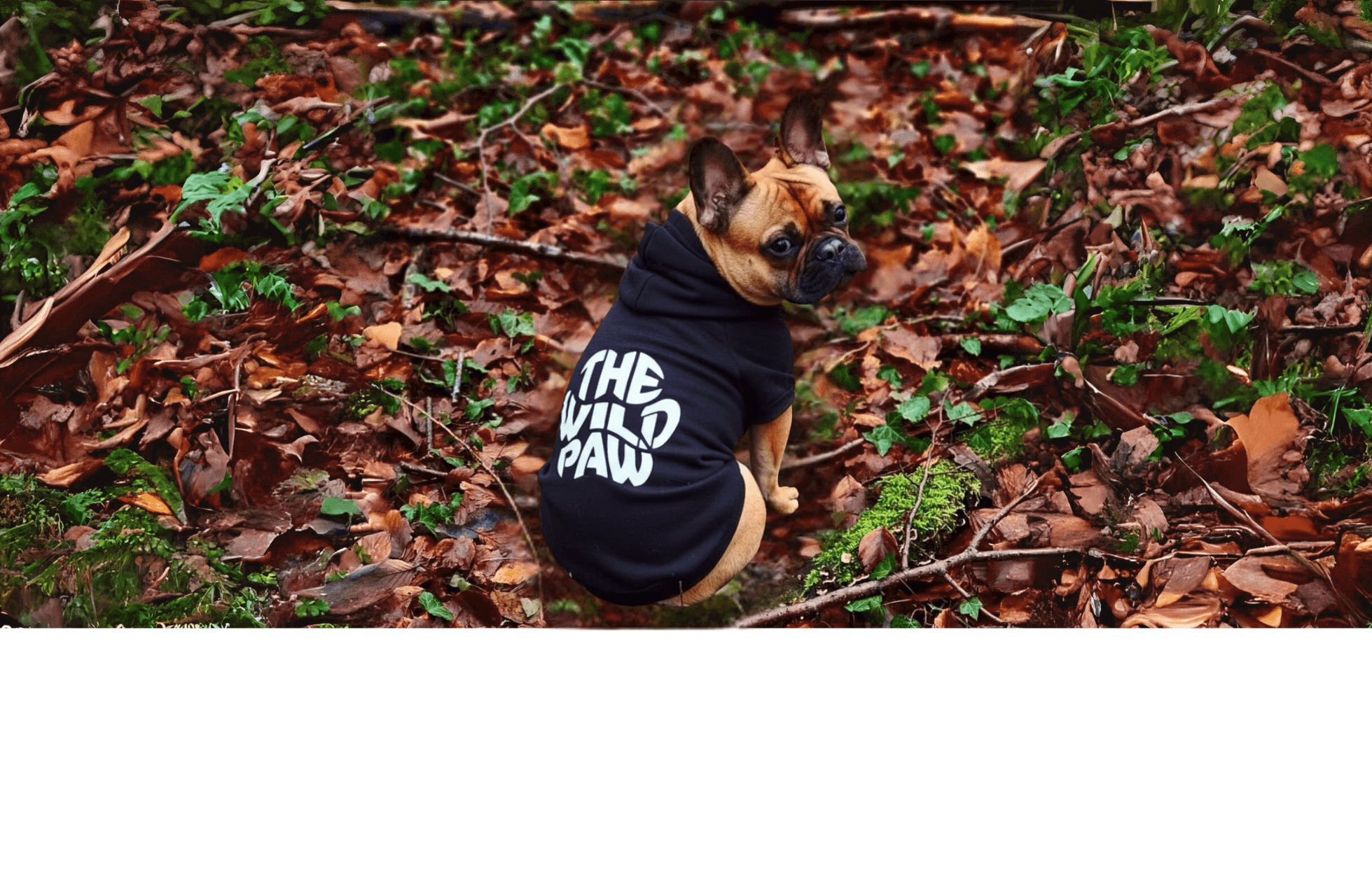 Dog wearing a black Terrain Trek Hoodie from The Wild Paw brand in a forest setting