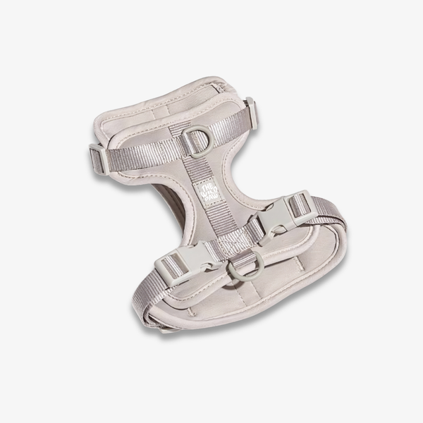 AdventurePro Harness