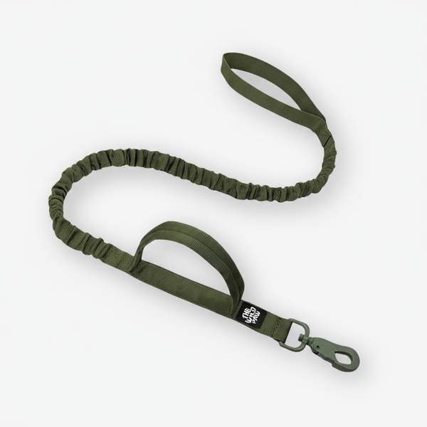 Rover Tactical Leash
