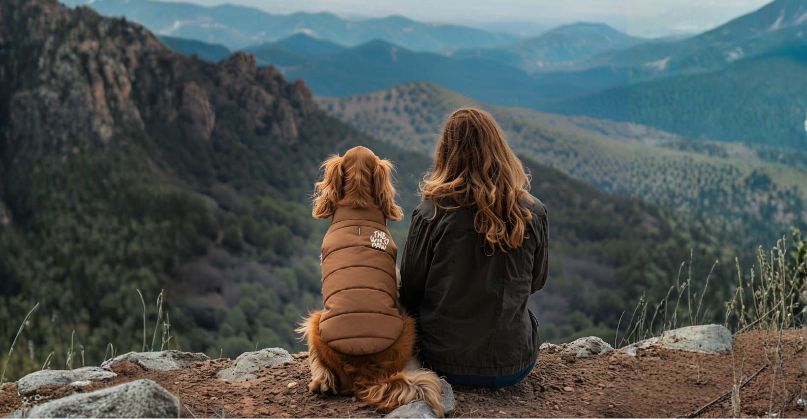 Girland dog wearing The Wild Paw vest sitting on a mountain top looking at a scenic view of mountains.