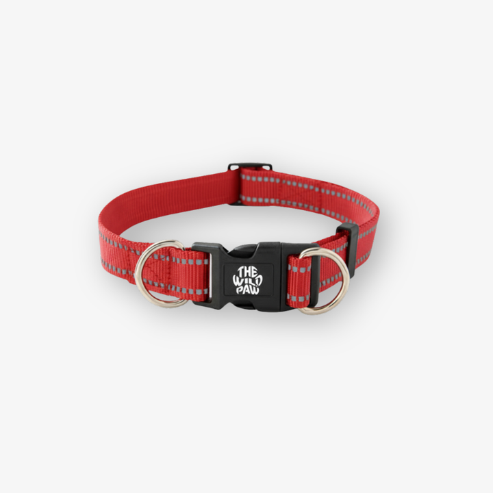 Red dog collar with reflective strip and black buckle on a white background