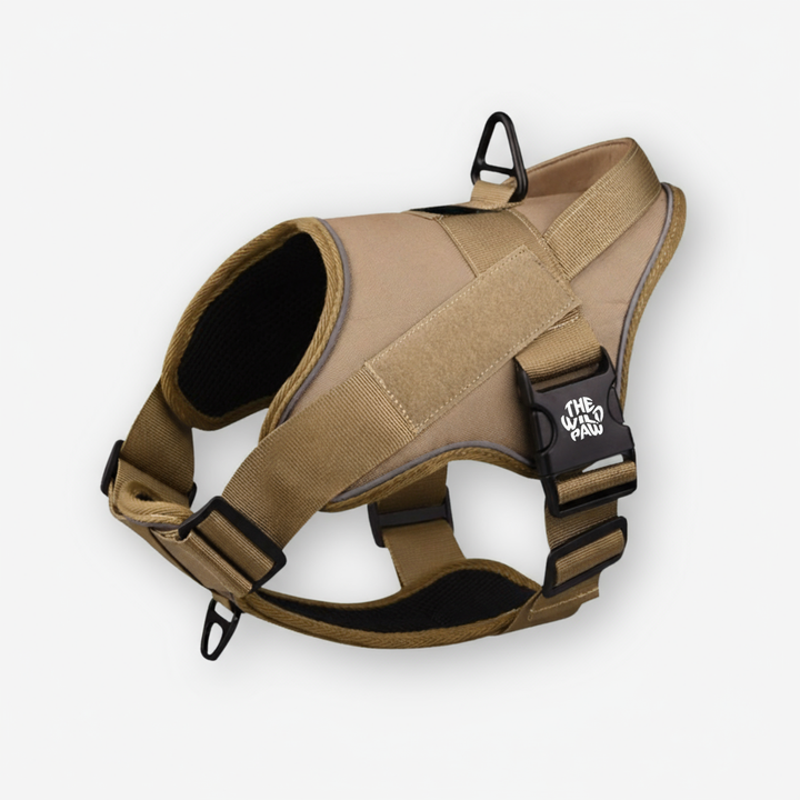 Tan dog harness with black straps on a white background