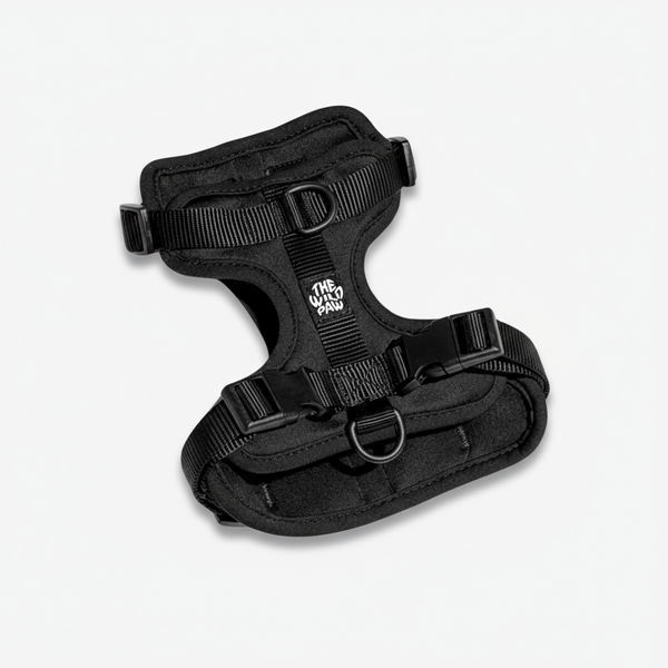 AdventurePro Harness